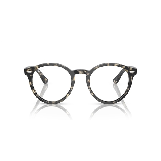 RAY-BAN  RX7680V - 8117 LARRY