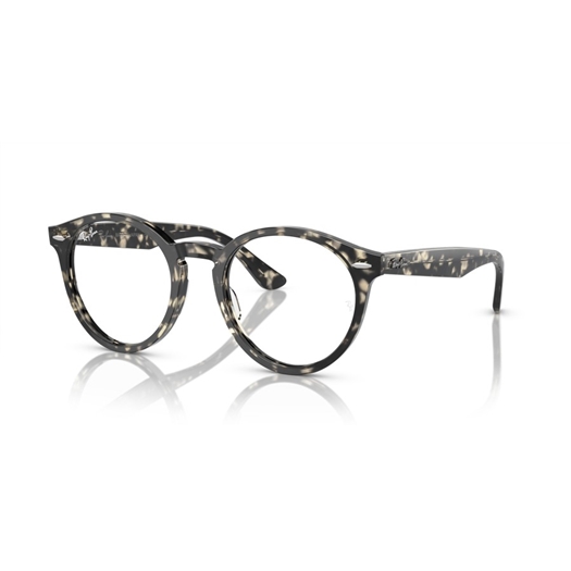 RAY-BAN  RX7680V - 8117 LARRY