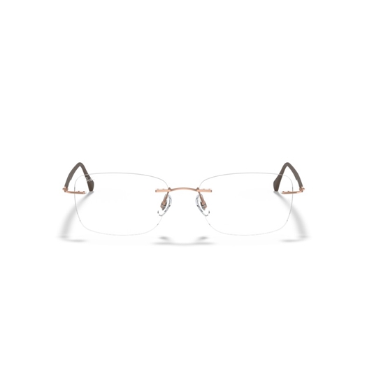 RAY-BAN  RX8725 - 1131