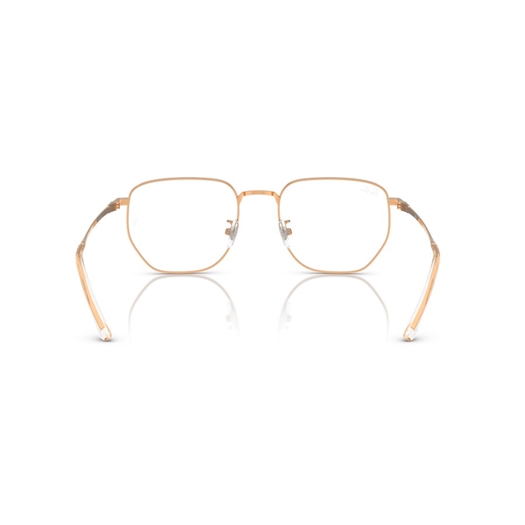 RAY-BAN  RX8776D - 1248