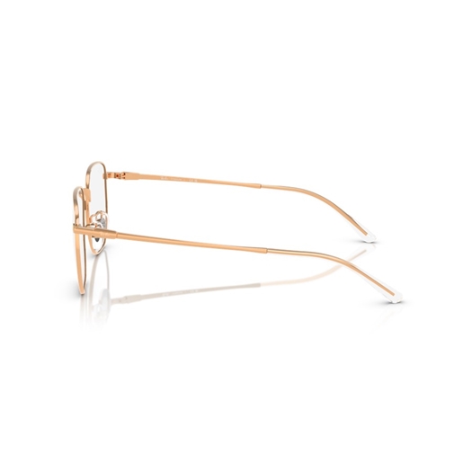 RAY-BAN  RX8776D - 1248