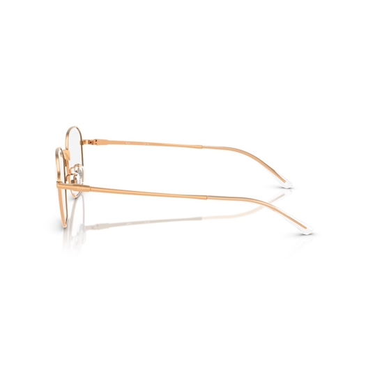 RAY-BAN  RX8777D - 1248