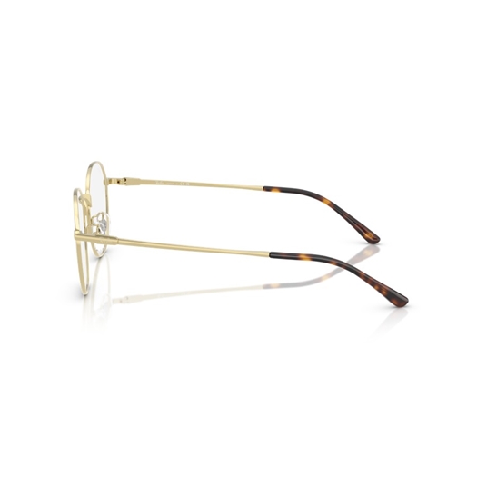 RAY-BAN  RX8778D - 1251