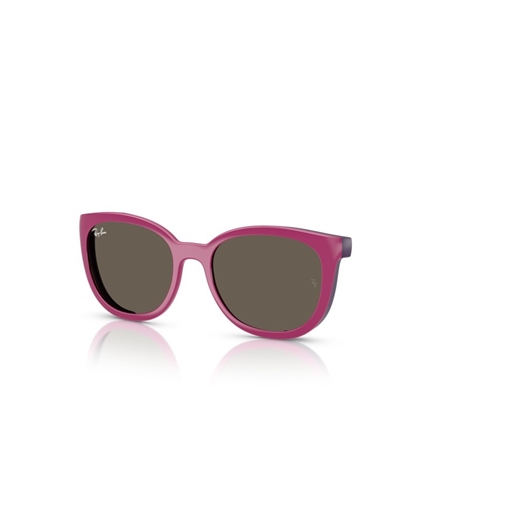 RAY-BAN JUNIOR  RY1631C - 3933/3