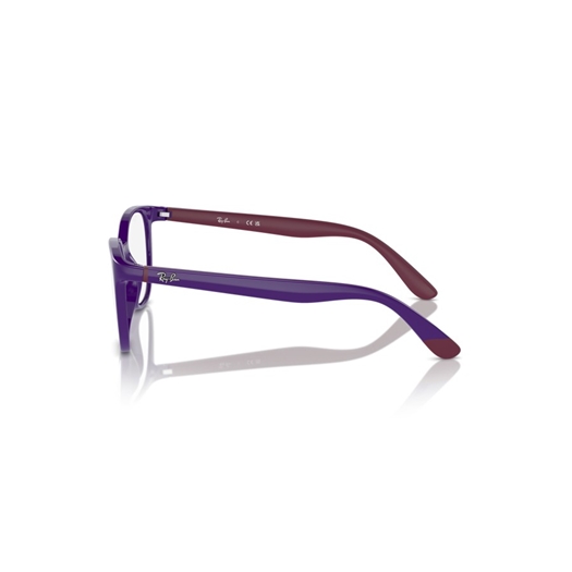 RAY-BAN JUNIOR  RY1631 - 3962