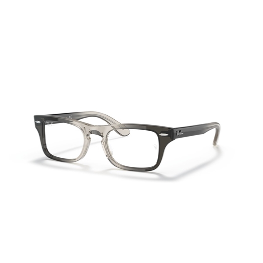 RAY-BAN JUNIOR  RY9083V - 3889 JUNIOR BURBANK