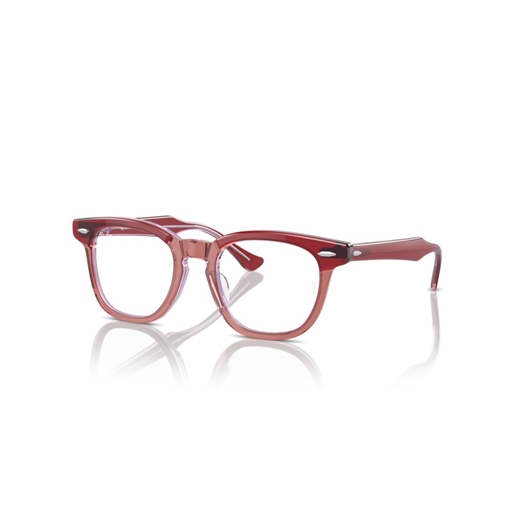 RAY-BAN JUNIOR  RY9098V - 3960