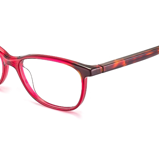 ETNIA BARCELONA DAUP 53O RDHV        