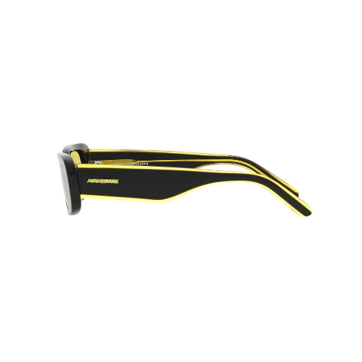 ARNETTE AN4317 LITTY - 12404Q