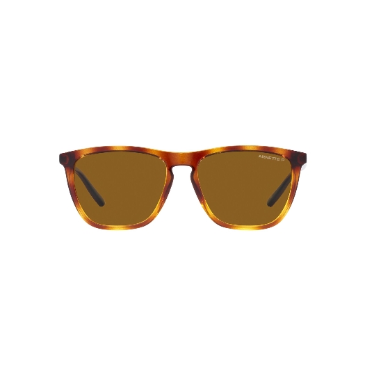 ARNETTE AN4301 FRY - 277083