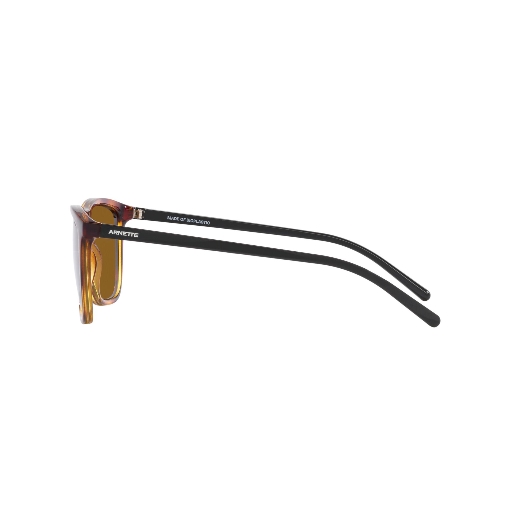 ARNETTE AN4301 FRY - 277083