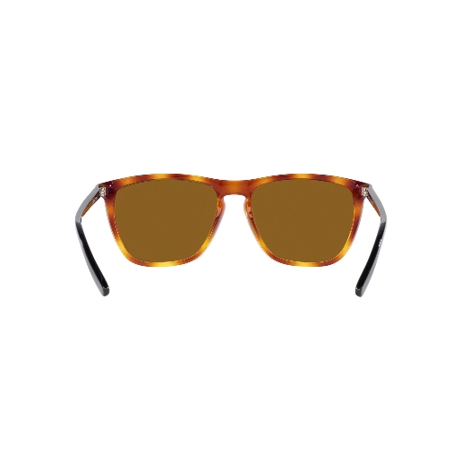 ARNETTE AN4301 FRY - 277083