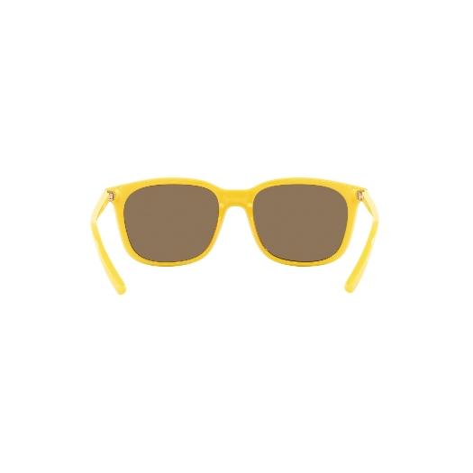 ARNETTE AN4316 C'ROLL - 28815A