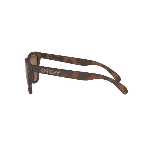 OAKLEY OO9013 FROGSKINS - 9013C5 